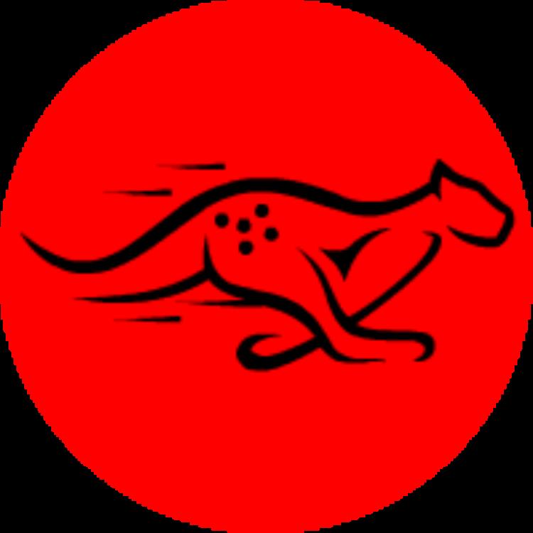 猎豹TK短视频网络节点