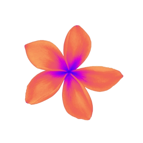 Plumeria