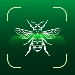 Bug Identifier : Insect ID